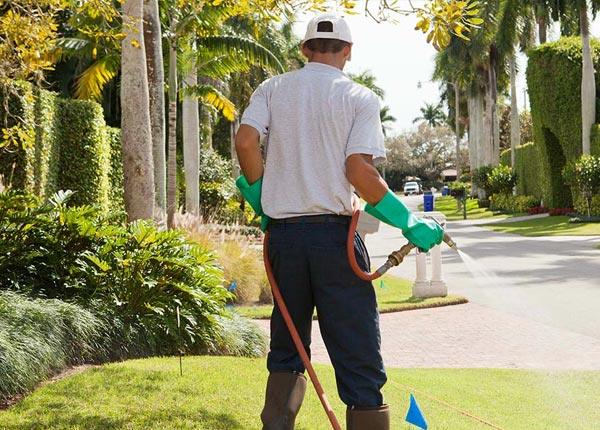 About Tyndall SD Pest Control Pros